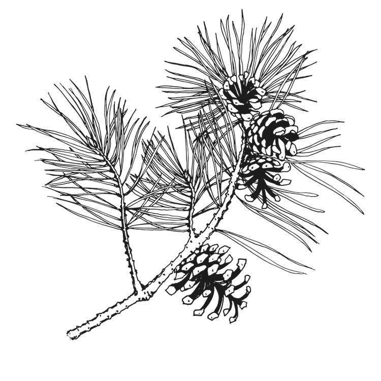 Alonia Spa - tuotteet